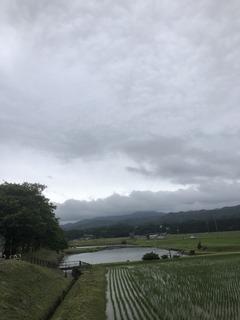 IMG_0534.JPG