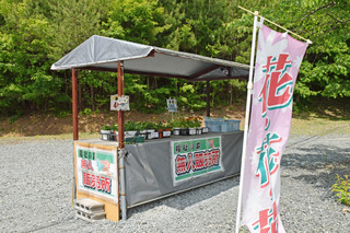 DSC_8489.JPG
