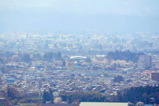 s-DSC_1954-1.jpg