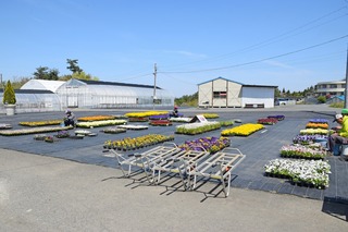 s-bDSC_9212.jpg