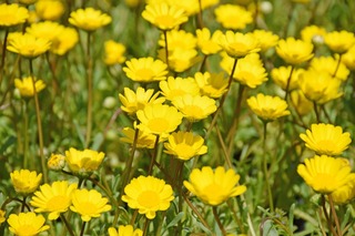 s-bDSC_9214.jpg