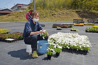 s-bDSC_9216.jpg