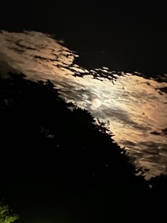 001.jpg