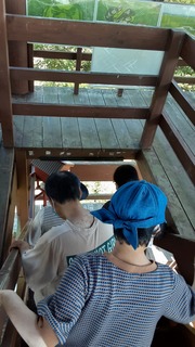 20240809_122302.jpg