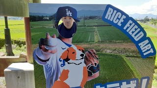 20240809_122538.jpg