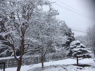 S__4022276.jpg