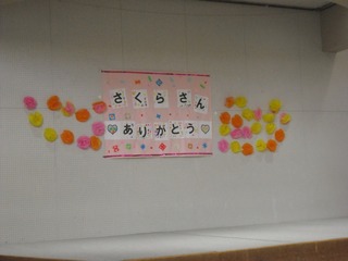 CIMG3384.jpg