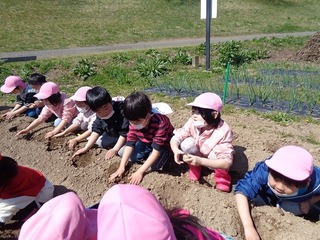 DSC00902.jpg