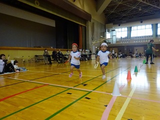 DSC01549.jpg