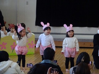 DSC02429.jpg