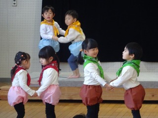 DSC02498.jpg