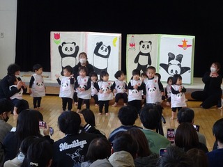 DSC02527.jpg