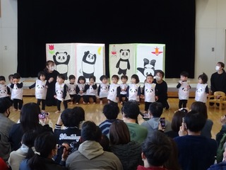 DSC02528.jpg