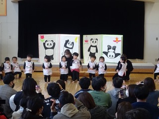 DSC02529.jpg