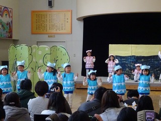 DSC02617.jpg
