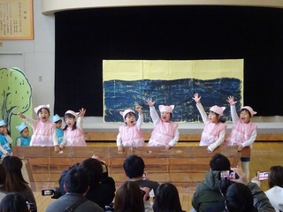 DSC02637.jpg