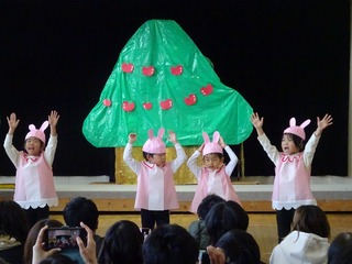 DSC02652.jpg