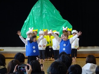 DSC02663.jpg