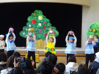 DSC02707.jpg