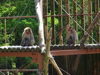 DSC04841.jpg