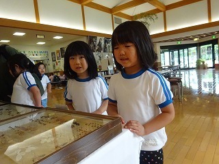 DSC05578.jpg