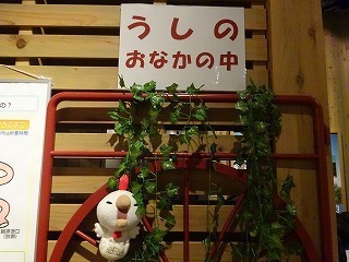 DSC05647.jpg