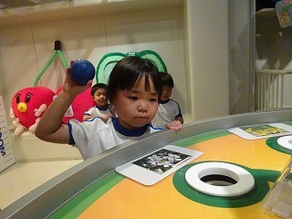 DSC05677.jpg