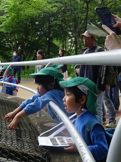 DSC09927.jpg