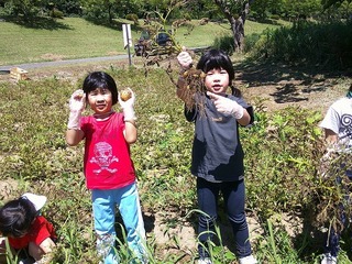 DSCF0070.jpg