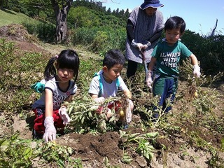 DSCF0085.jpg