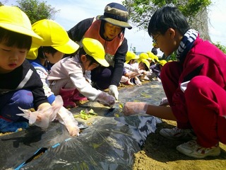 DSCF0268.jpg