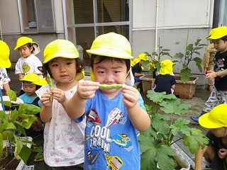 DSCF0270.jpg