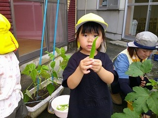 DSCF0275.jpg