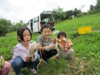 IMG_0045.jpg