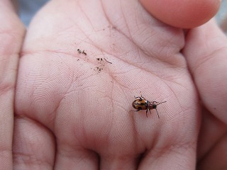 IMG_0046.jpg