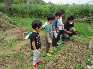 IMG_0048.jpg