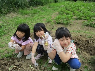 IMG_0049.jpg