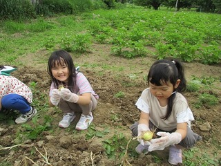 IMG_0050.jpg