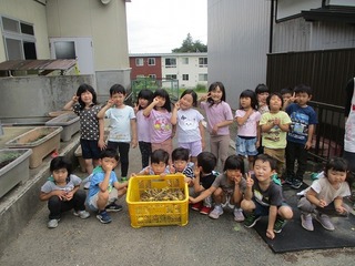 IMG_0052.jpg