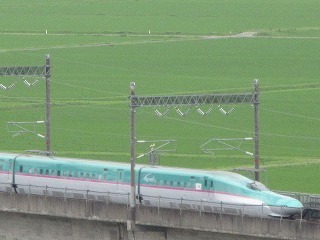 IMG_0053.jpg