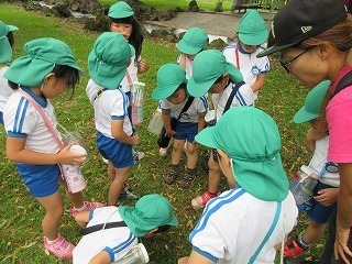 IMG_0079.jpg