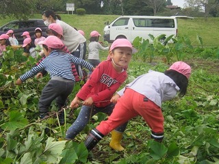 IMG_0137.jpg