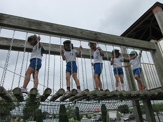 IMG_0150.jpg