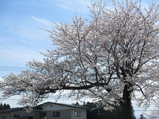 IMG_1455.jpg