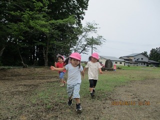 IMG_1493.jpg