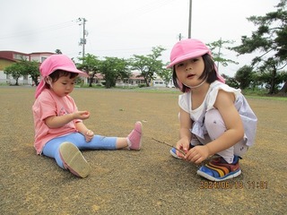 IMG_1501.jpg