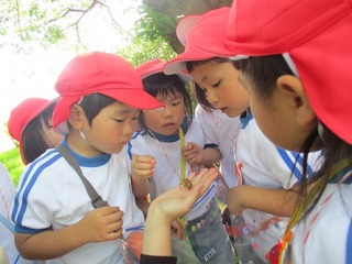 IMG_1780.jpg