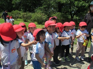 IMG_1834.jpg