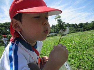 IMG_1838.jpg
