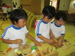 IMG_2335.jpg